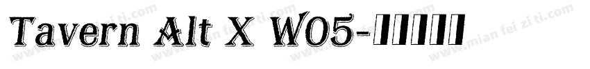 Tavern Alt X W05字体转换